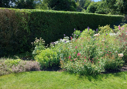 gardening services 03