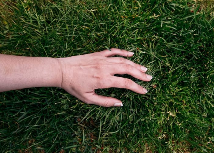 natrual grass turfing reading berkshire