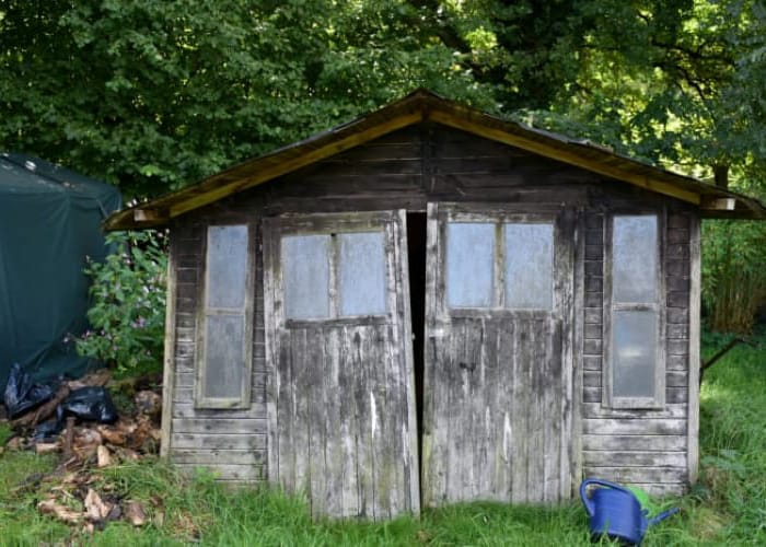 shed clearance reading