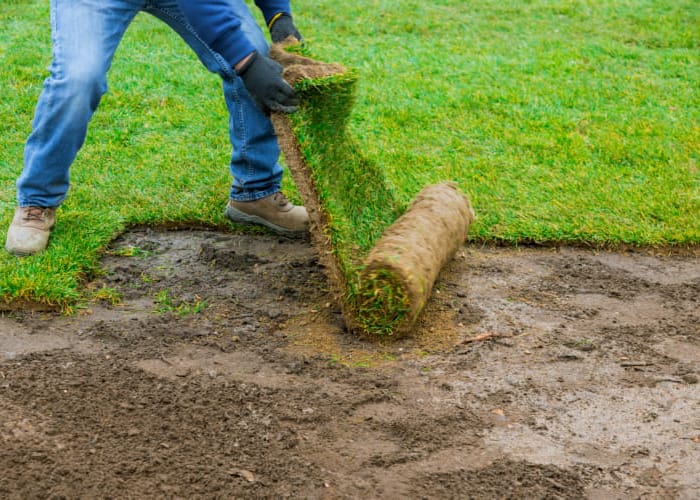 turf laying installation reading