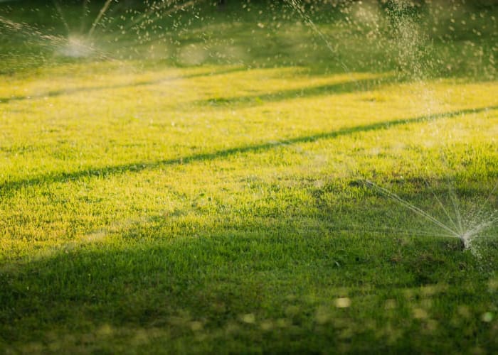 turfing reading lawn care